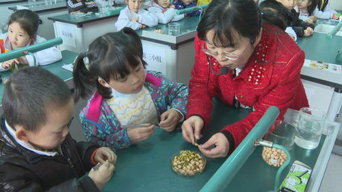 課后延時服務 以美術輔導破解“四點半難題”