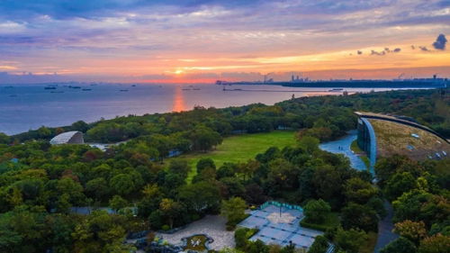 科創(chuàng)寶山 揚(yáng)帆出海拓圈，奮力尋找新流量與創(chuàng)新增長(zhǎng)極